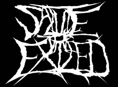 logo Salute The Exiled